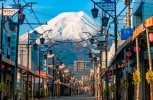 From Tokyo:Mount Fuji Lake Kawaguchi, Oshino Hakkai,Shrine Tour
