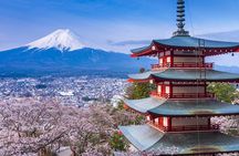 From Tokyo:Mount Fuji Lake Kawaguchi, Oshino Hakkai,Shrine Tour
