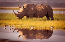 One Day Tour to Lake Nakuru from Nairobi 4WD
