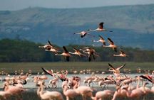 One Day Tour to Lake Nakuru from Nairobi 4WD