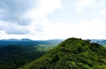 Rainforest Camping in Kudremukh National Park