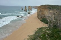Great Ocean Road and 12 Apostles - Premium Day Tour Max 4 Guests