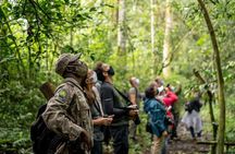 7 Days Uganda Chimps and Gorilla Trekking Safari