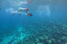 Curacao Reef Sublue Scooters Experience