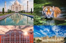 8 Day Delhi Agra Ranthambore Udaipur Jaipur Delhi Tour.