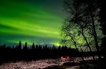 Chasing the Northern Lights, With Options 3hrs & 6+hrs Tours