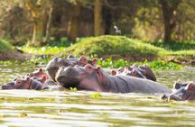 Private Tour to Hells Gate and Lake Naivasha with Spa