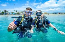 Discover Scuba Diving Adventure in Tenerife