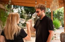 Classic: Tuscan Vineyard Old Jeep Tour, Wine Tasting & Lunch