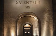 Uco Valley Full Day Zuccardi Winery and Lunch at Salentein Winery