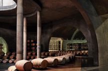 Uco Valley Full Day Zuccardi Winery and Lunch at Salentein Winery