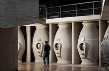 Uco Valley Full Day Zuccardi Winery and Lunch at Salentein Winery