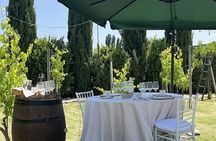 Classic: Tuscan Vineyard Lunch with Wine Tasting