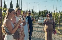 Classic: Tuscan Vineyard Lunch with Wine Tasting