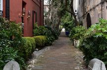Charleston Perspective Walking Tour