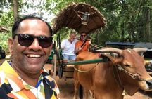 Private 5 Day Tour Across Sri Lanka Highlights