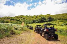 Oceanview Offroad UTV Tour in Fajardo Puerto Rico