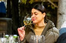 Viña Concha y Toro: Premium Wine Center Tour