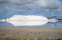 Discover and Explore the Salt Works and Slave Huts in Bonaire
