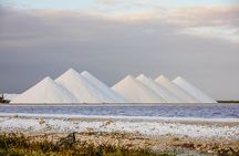 Discover and Explore the Salt Works and Slave Huts in Bonaire