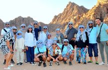 Marsa Alam: Desert Safari: 4x4, Quad, Buggy, Camel & Stargazing