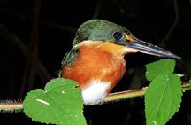 Cultural Zone at Manu in 3 Days