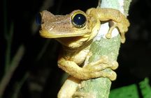 Cultural Zone at Manu in 3 Days