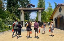 Official Transportation Viña Concha y Toro