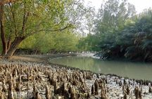 9 Day World Heritage Tour in Bangladesh Dhaka, Sundarbans