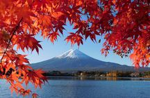 Tokyo: Mt. Fuji 5th Station, Fuji Area & Kawaguchiko 1-Day Tour