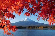 Tokyo: Mt.Fuji & Lake Kawaguchiko 1-Day Bus Tour w/Optional Lunch