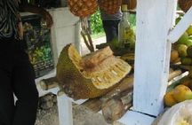 Cultural Food Tour & Seven Mile Beach At Negril’s Margaritaville