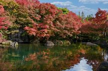 Himeji Castle, Arima Onsen & Mt. Rokko: 1-Day Bus Tour from Osaka