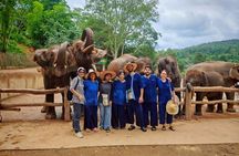 Private 3 Day Chiang Mai and Chiang Rai Tour