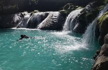 Dunns River Falls & Blue Hole in ocho Rios frm Negril/Montego Bay
