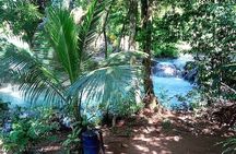 Dunns River Falls & Blue Hole in ocho Rios frm Negril/Montego Bay