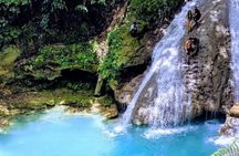 Dunns River Falls & Blue Hole in ocho Rios frm Negril/Montego Bay