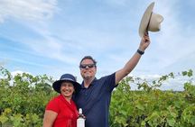 Hunter Valley Wine and Cheese Tasting Day Tour from Sydney