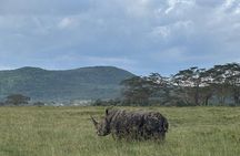 2 Day Nairobi National Park to Amboseli National Park