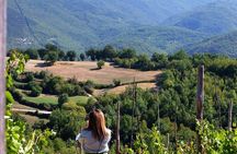 Winery Tour and Tasting 4 wines at Cantina Le Macchie near Rome
