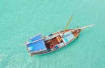 ZANZIBAR : pungume island, snorkeling, & dolphin trip
