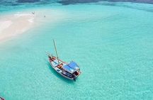 ZANZIBAR : pungume island, snorkeling, & dolphin trip