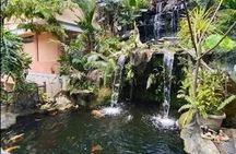 Unity in Diversity: A Sacred Journey Through Faiths and Cultures