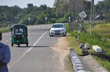 Sri Lanka Private Tour Kandy, Ella Train, Yala Safari & Galle 