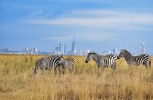 Half day Guided Game Drive Safari in Nairobi Park by 4x4 Jeep