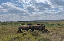 Half day Guided Game Drive Safari in Nairobi Park by 4x4 Jeep