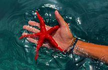 A privatized boat, in the Calanques of Port d'Alon!