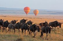 3 Day Private Tour in Maasai mara with 4x4 vehicle