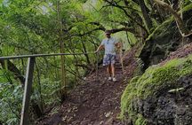 Explore Falls, Sloths and Bridge in Fortuna de Bagaces...