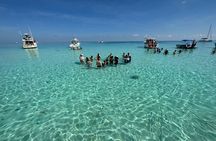 Stingray City and Snorkeling Tour Starfish Point Adventure